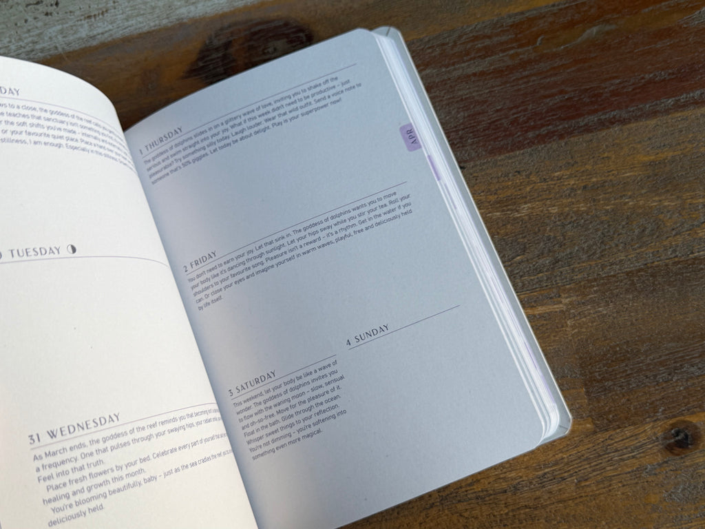 Moon Goddess 2027 Diary