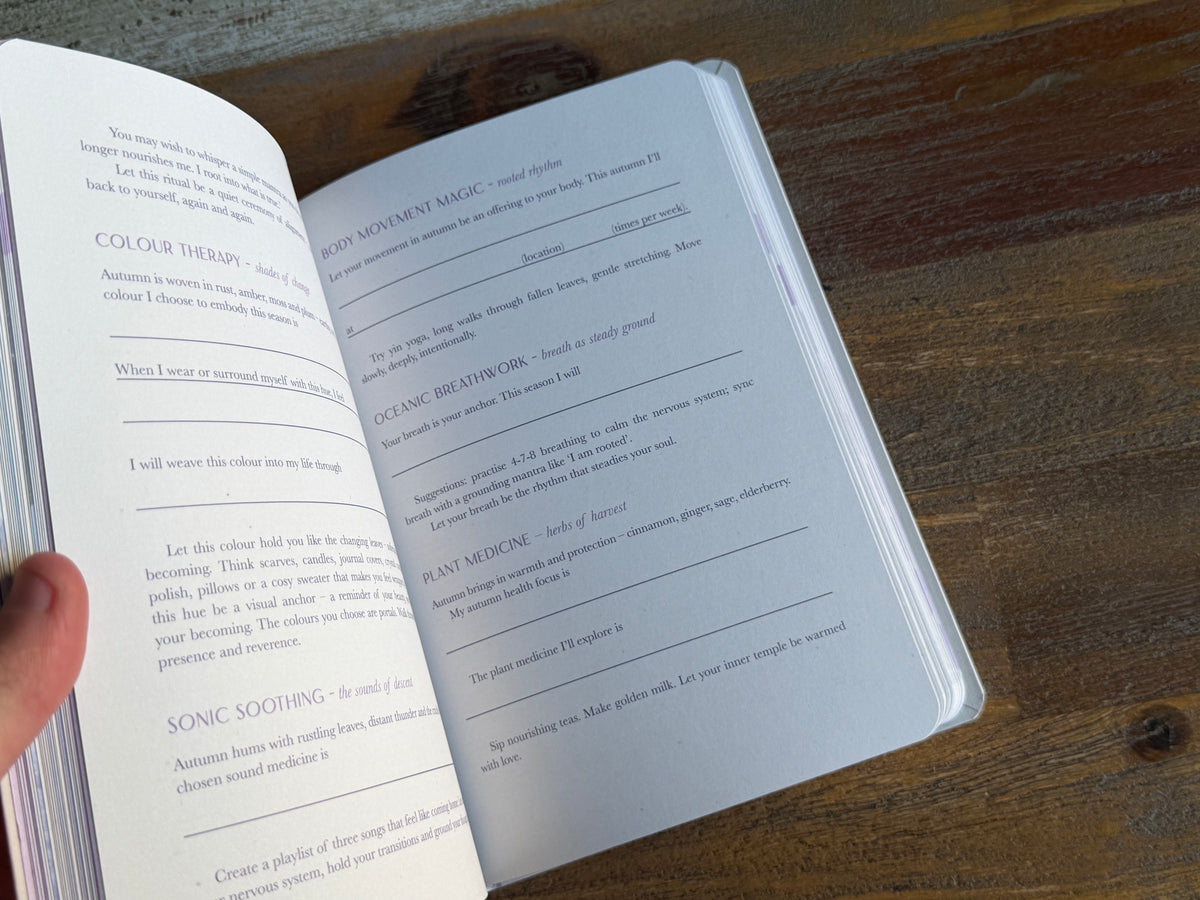 Moon Goddess 2027 Diary