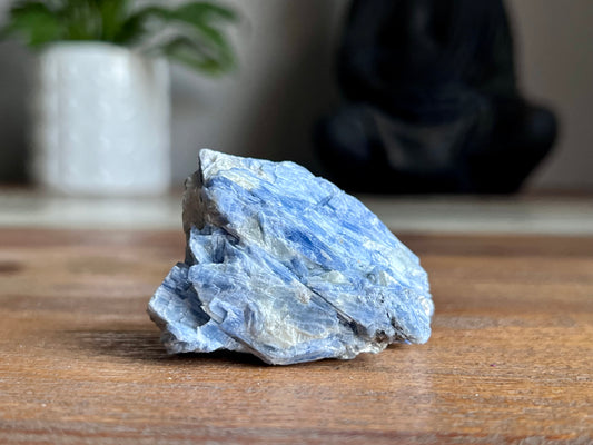 Blue Kyanite Cluster