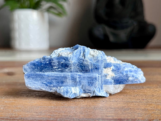 Blue Kyanite Cluster