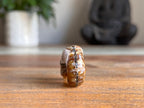 Ram Horn Ammonite Fossil