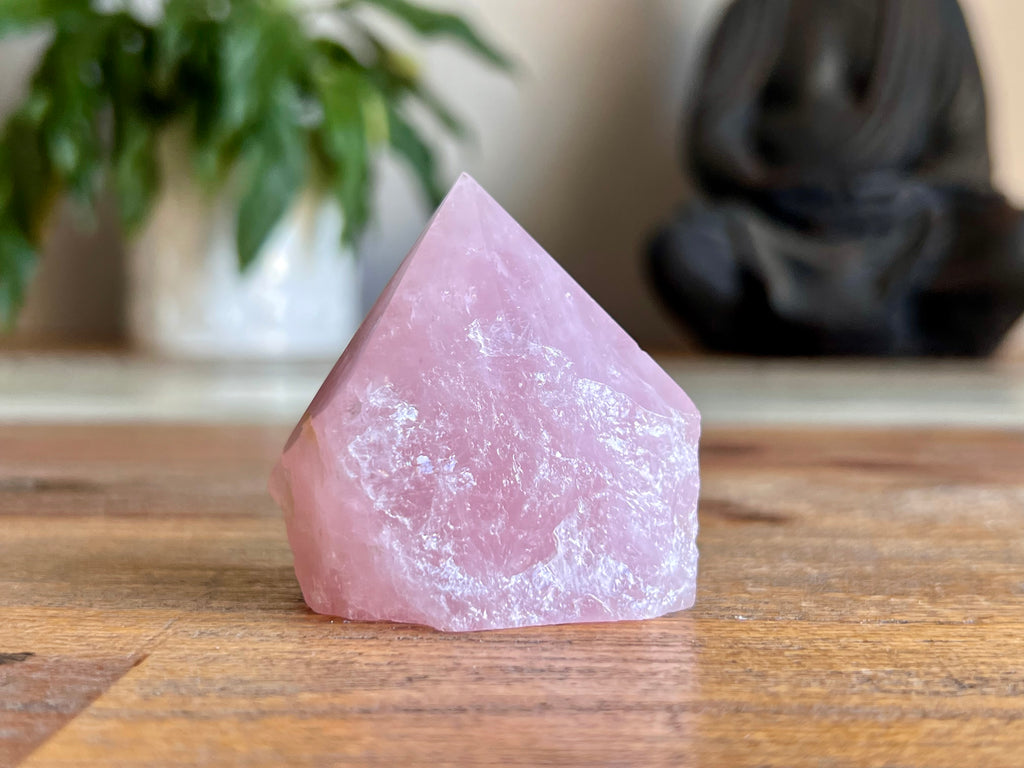 Rose Quartz Rough/ Polished Point
