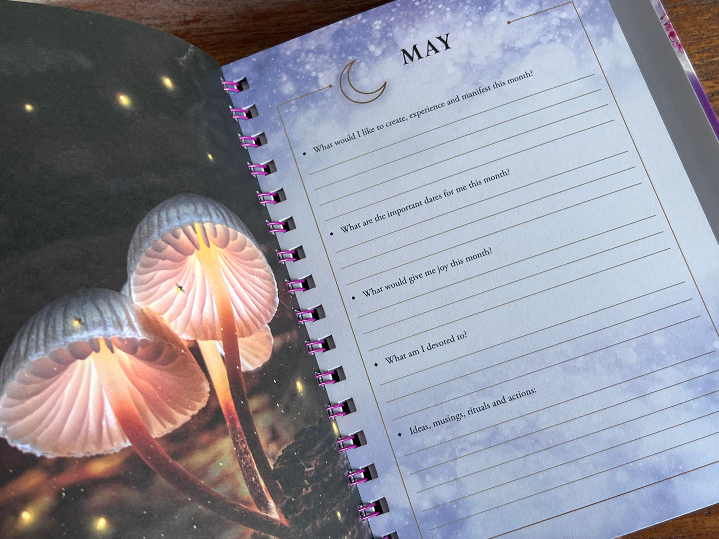 2026 Lunar & Seasonal Diary Southern Hemisphere - Stacey Demarco