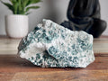Tree Agate Rough