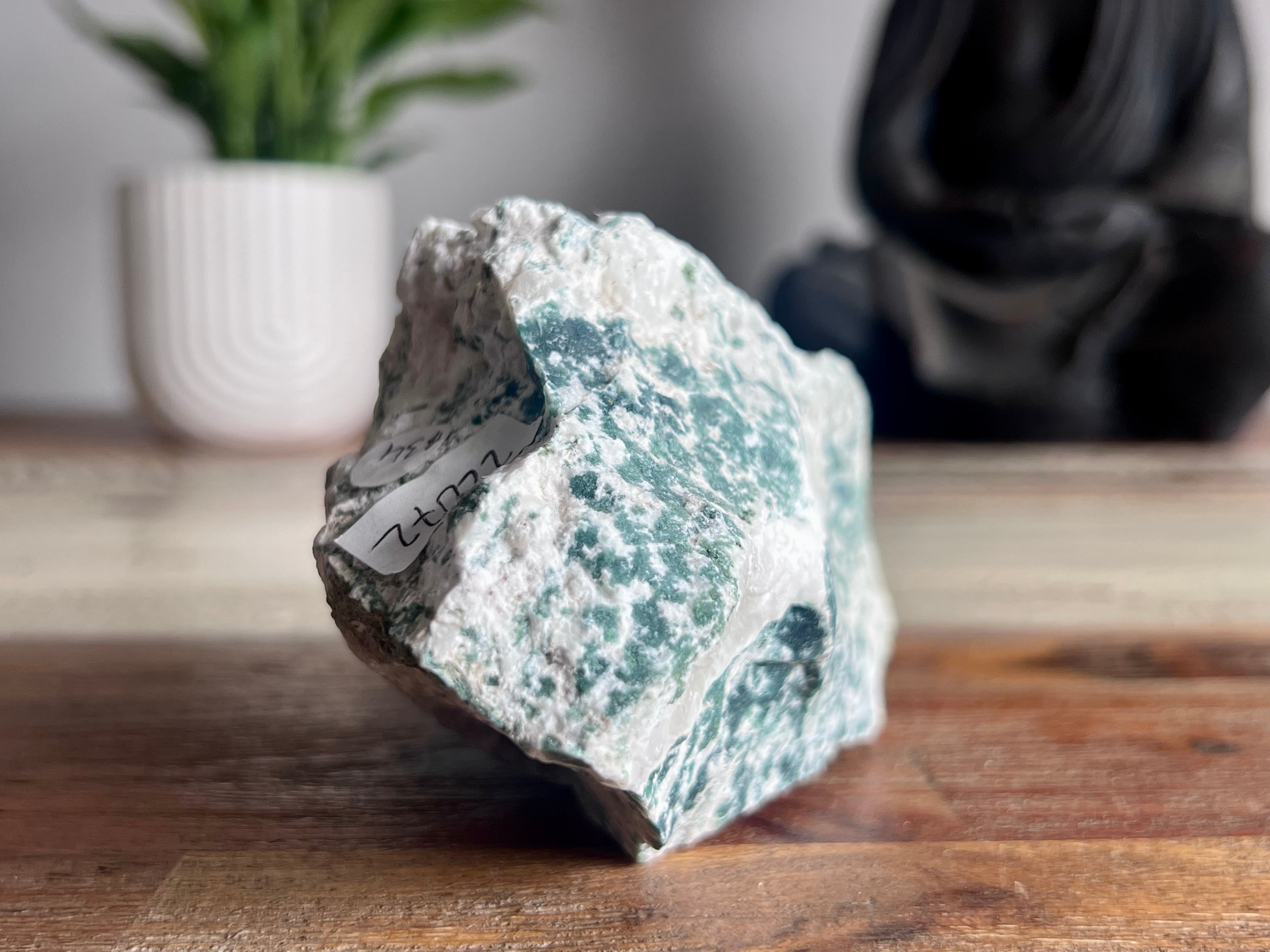Tree Agate Rough
