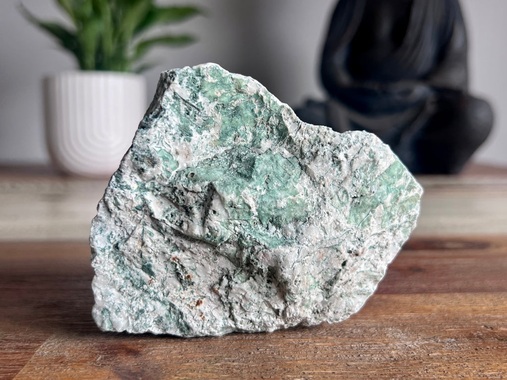 Tree Agate Rough