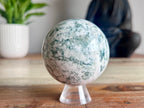 Tree Agate Sphere