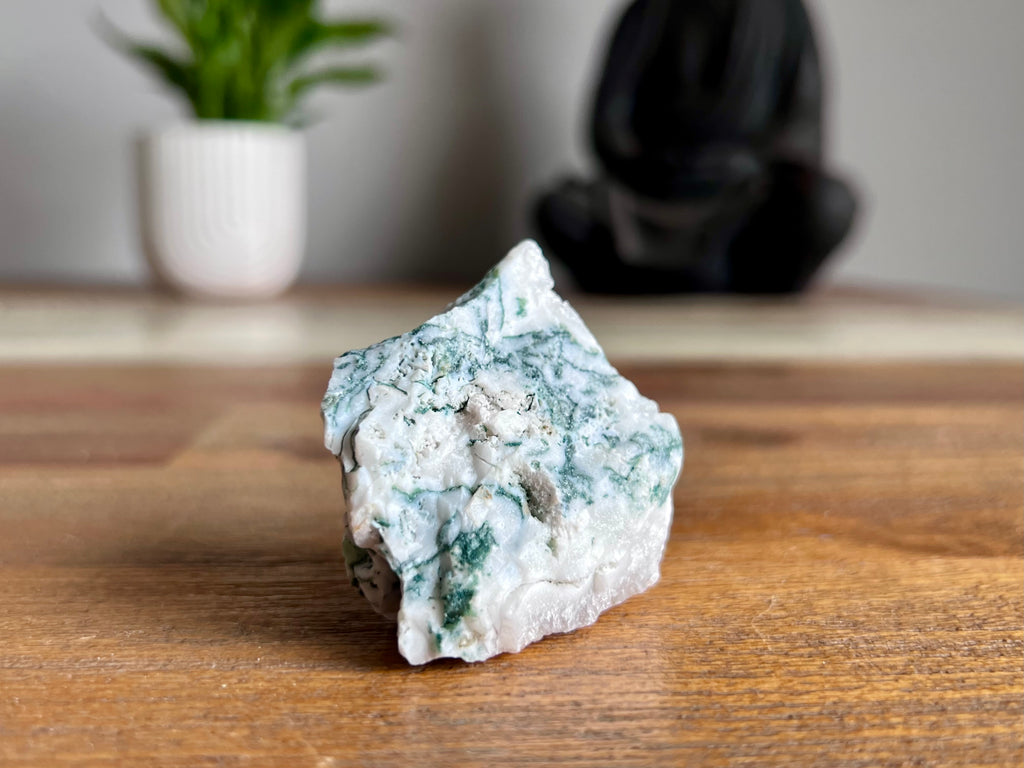 Tree Agate Rough