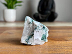 Tree Agate Rough