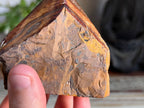 Tiger Eye Rough/ Polished Point