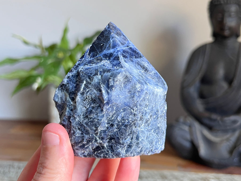 Sodalite Rough/ Polished Point