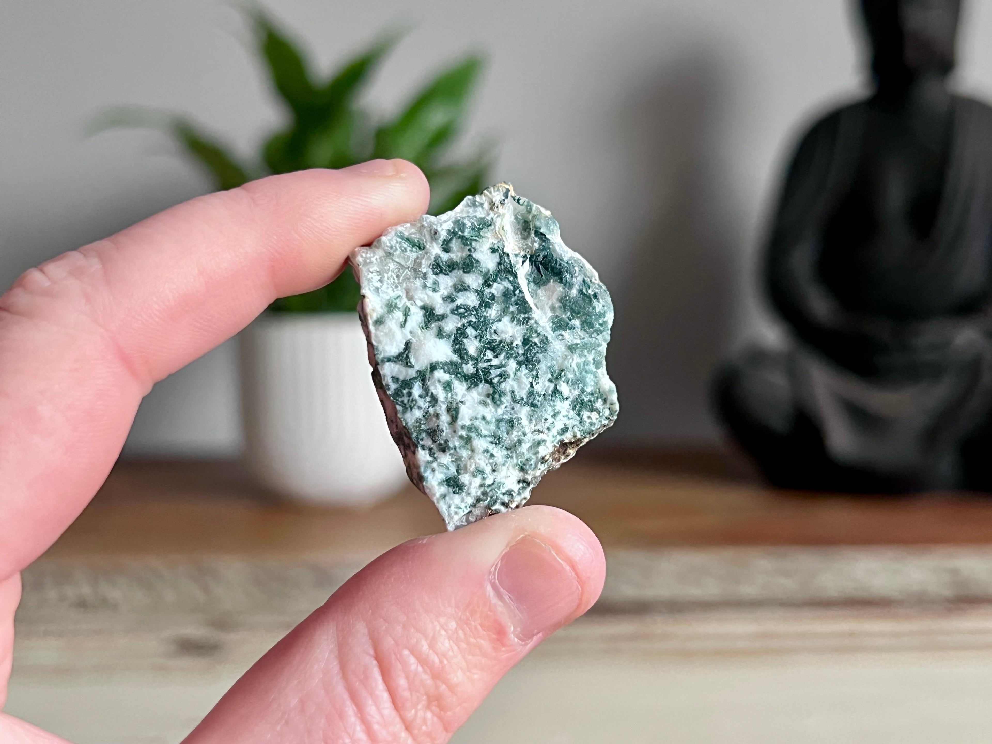 Tree Agate Rough