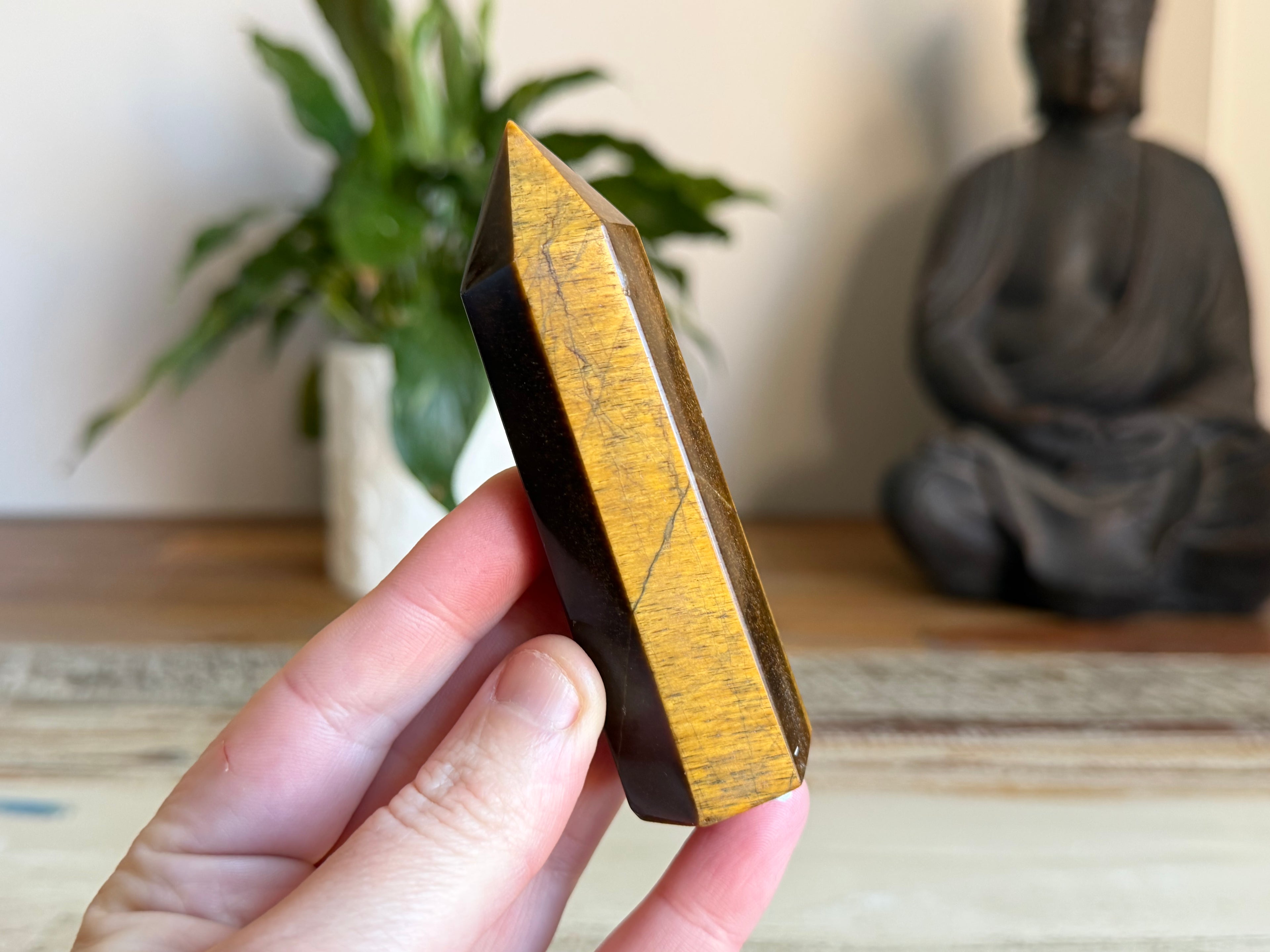Tiger Eye Generator Point