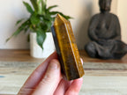 Tiger Eye Generator Point