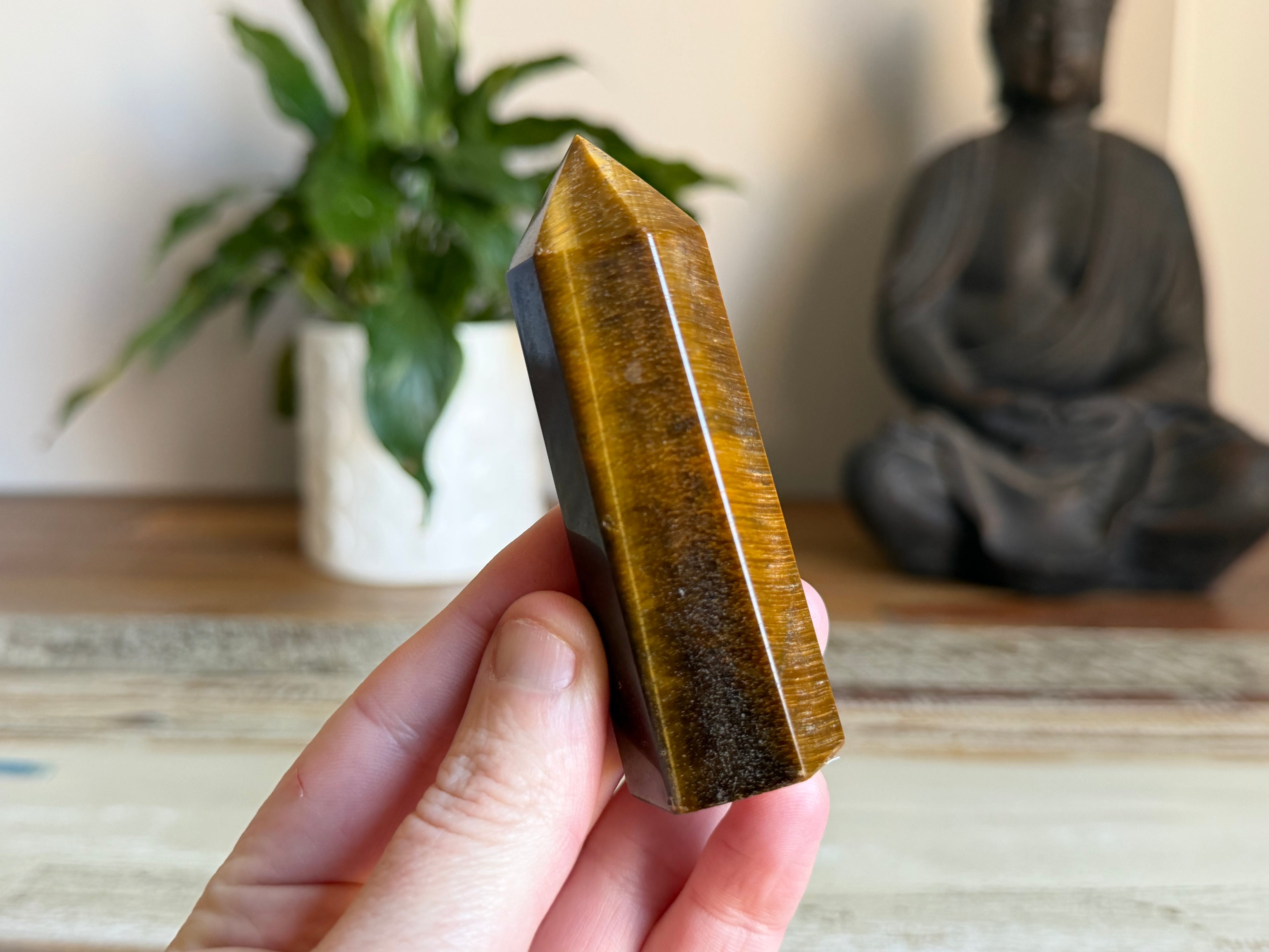 Tiger Eye Generator Point