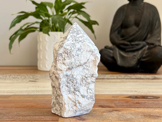 White Howlite Rough/ Polished Point