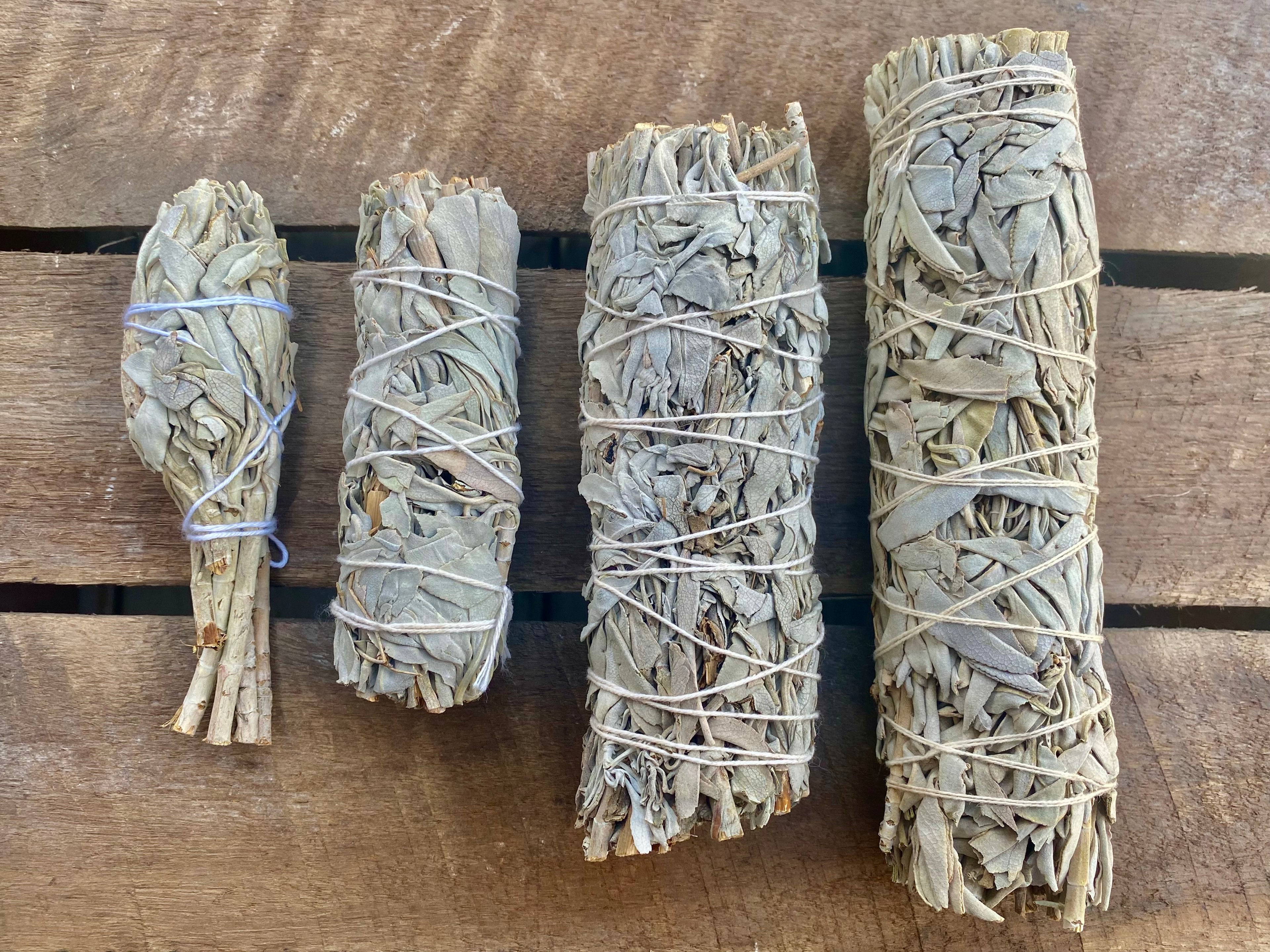 California White Sage Smudge Stick - Large