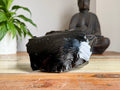 Obsidian Rough