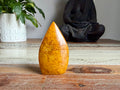 Golden Healer Freeform