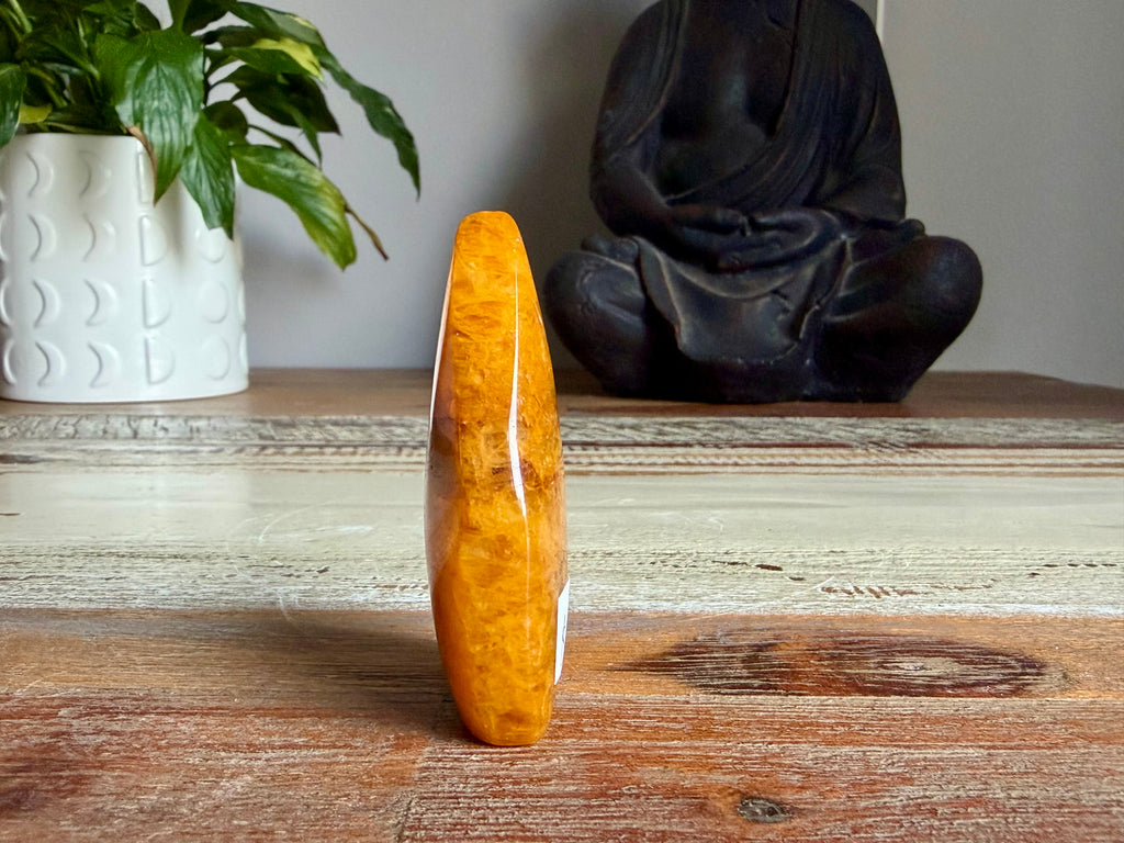 Golden Healer Freeform