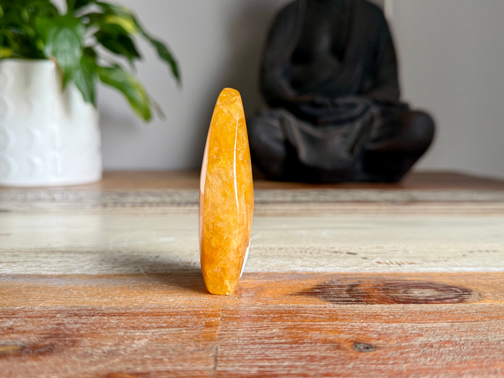 Golden Healer Freeform