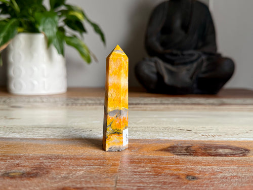 Bumblebee Jasper Generator Point