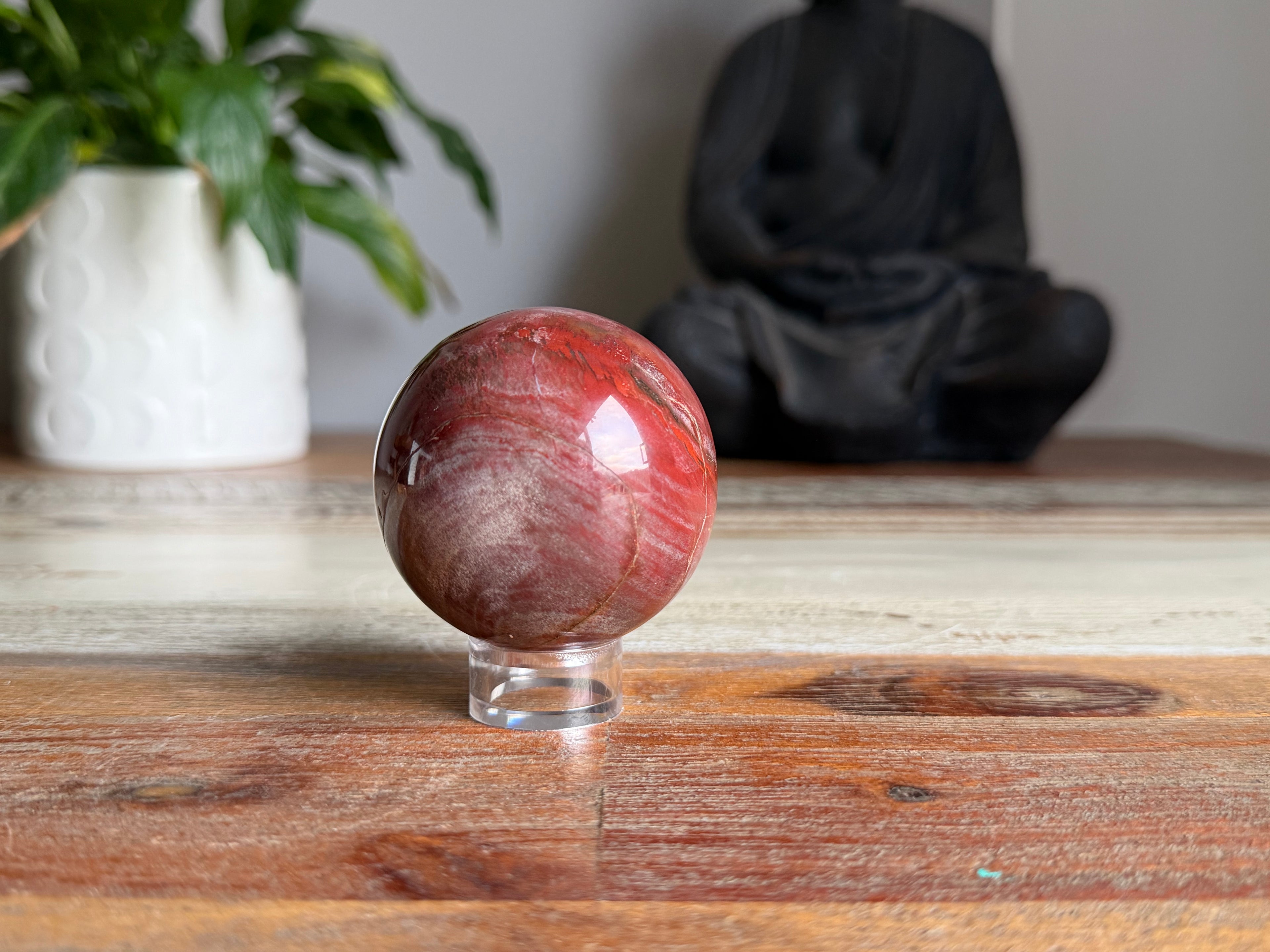 Petrified Wood Sphere