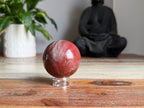 Petrified Wood Sphere