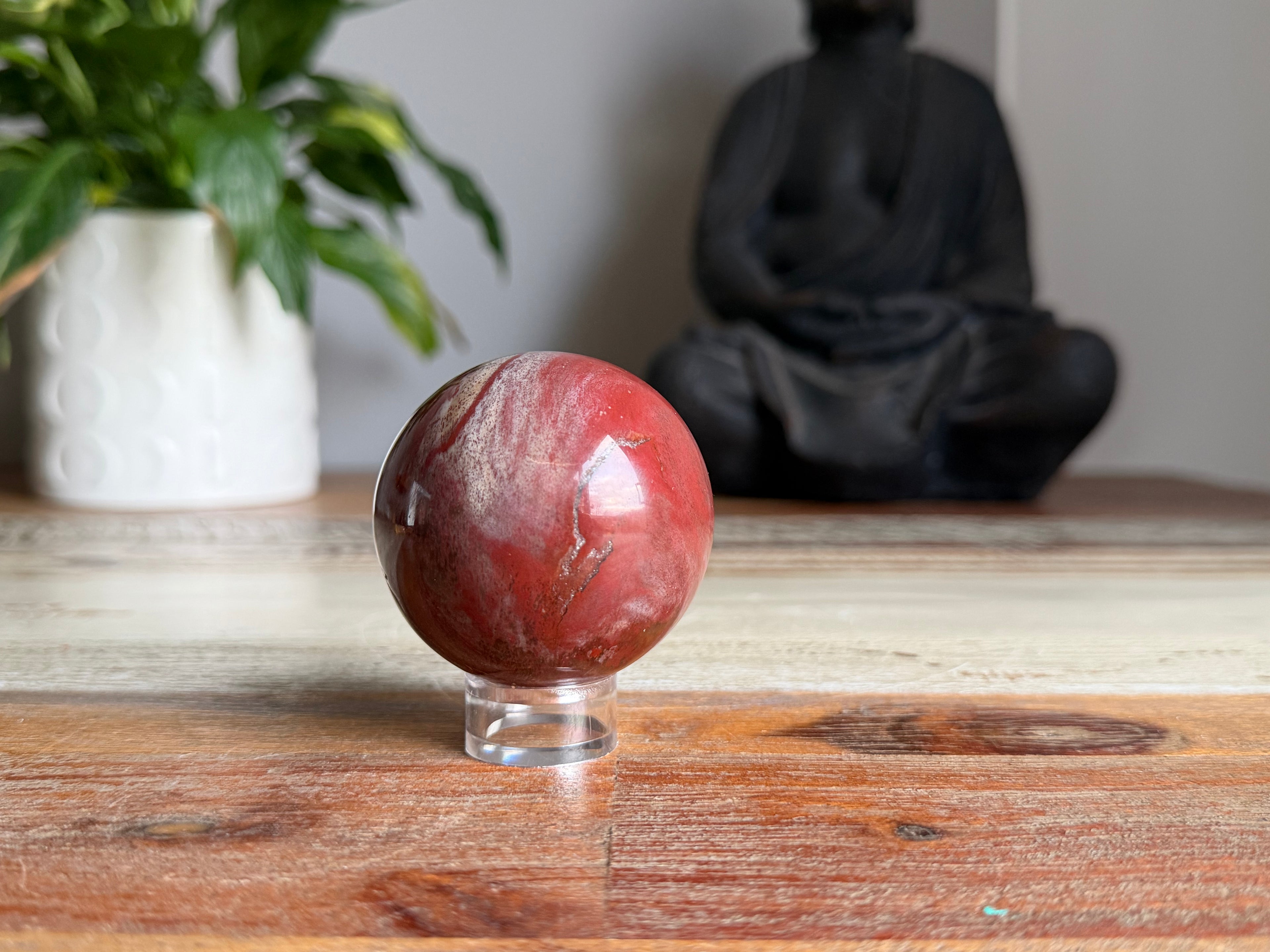 Petrified Wood Sphere