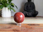 Petrified Wood Sphere
