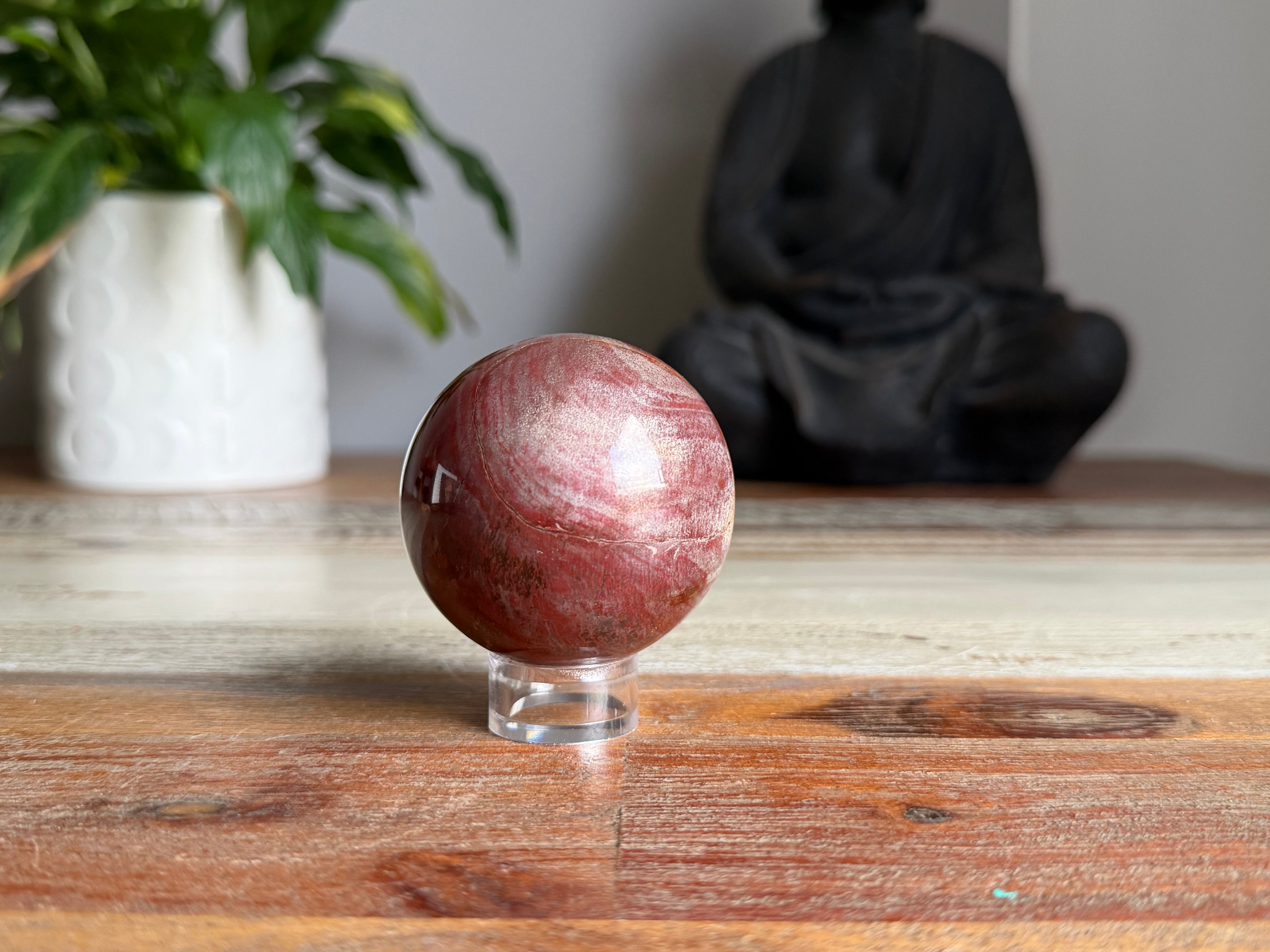 Petrified Wood Sphere