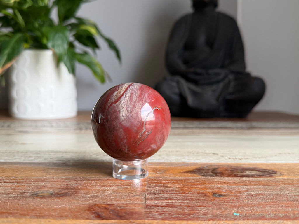 Petrified Wood Sphere