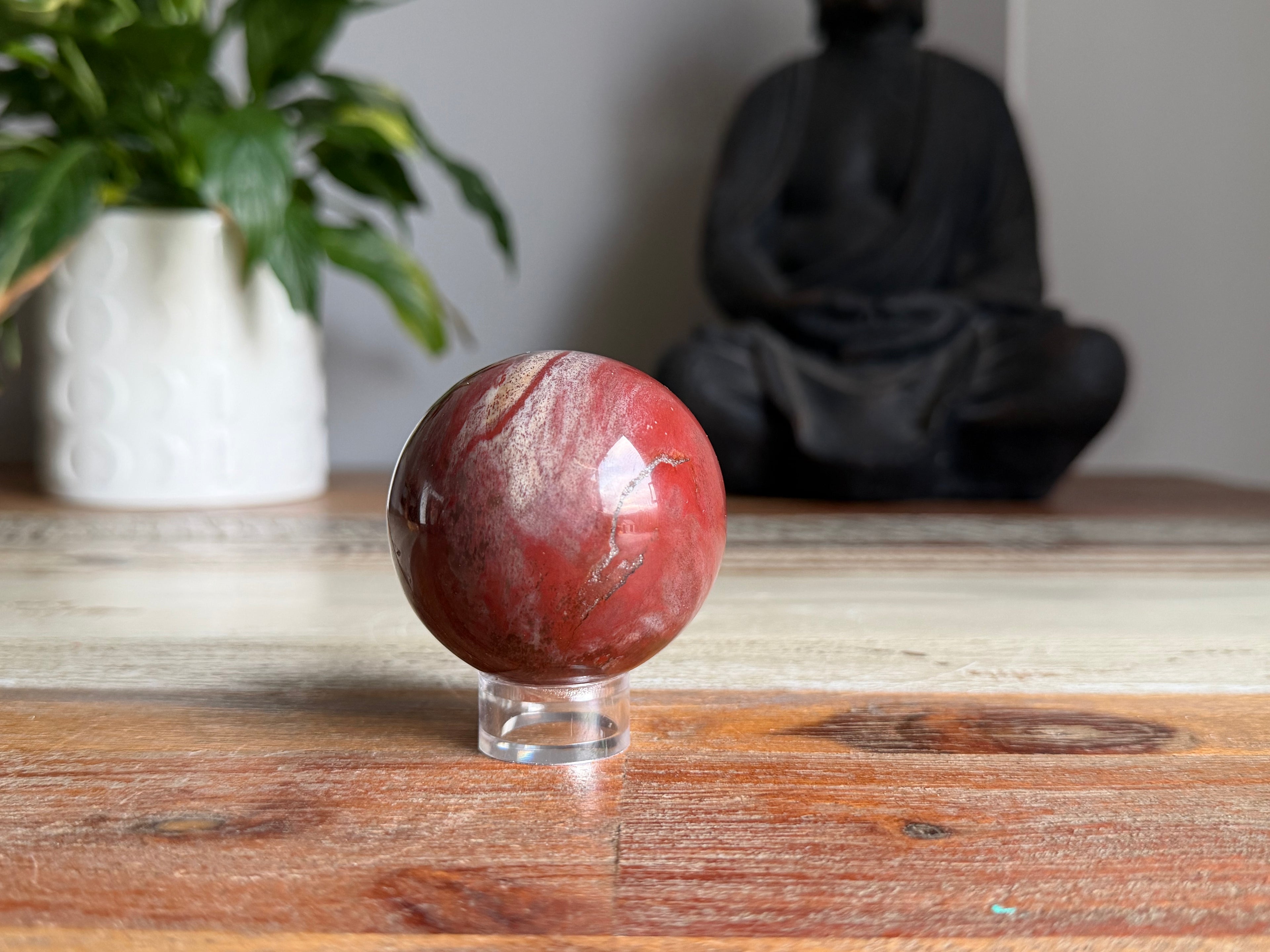 Petrified Wood Sphere