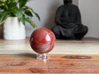 Petrified Wood Sphere