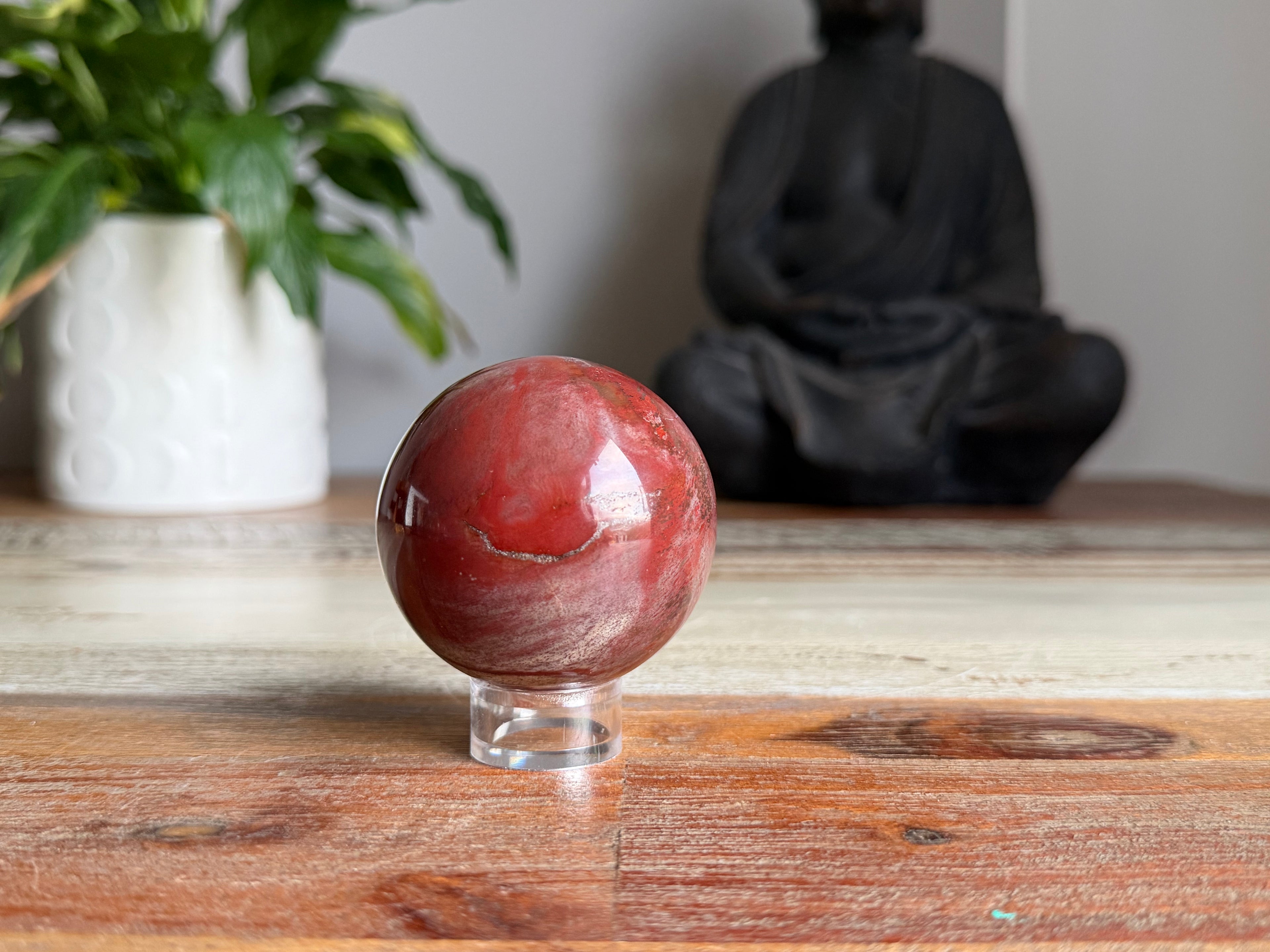 Petrified Wood Sphere