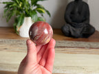 Petrified Wood Sphere