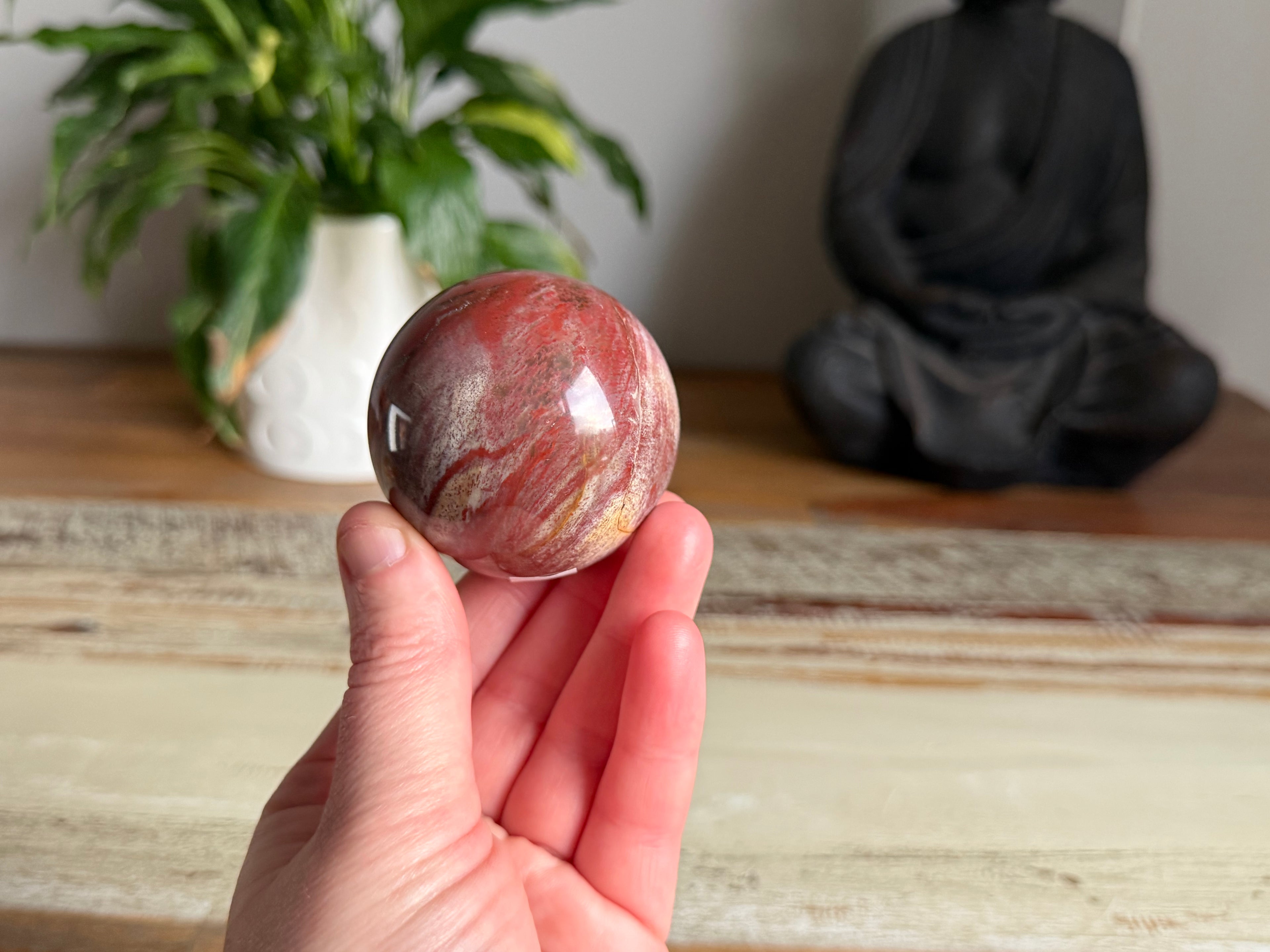 Petrified Wood Sphere