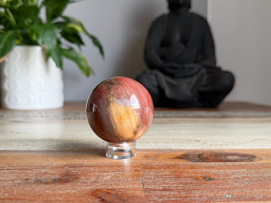 Petrified Wood Sphere