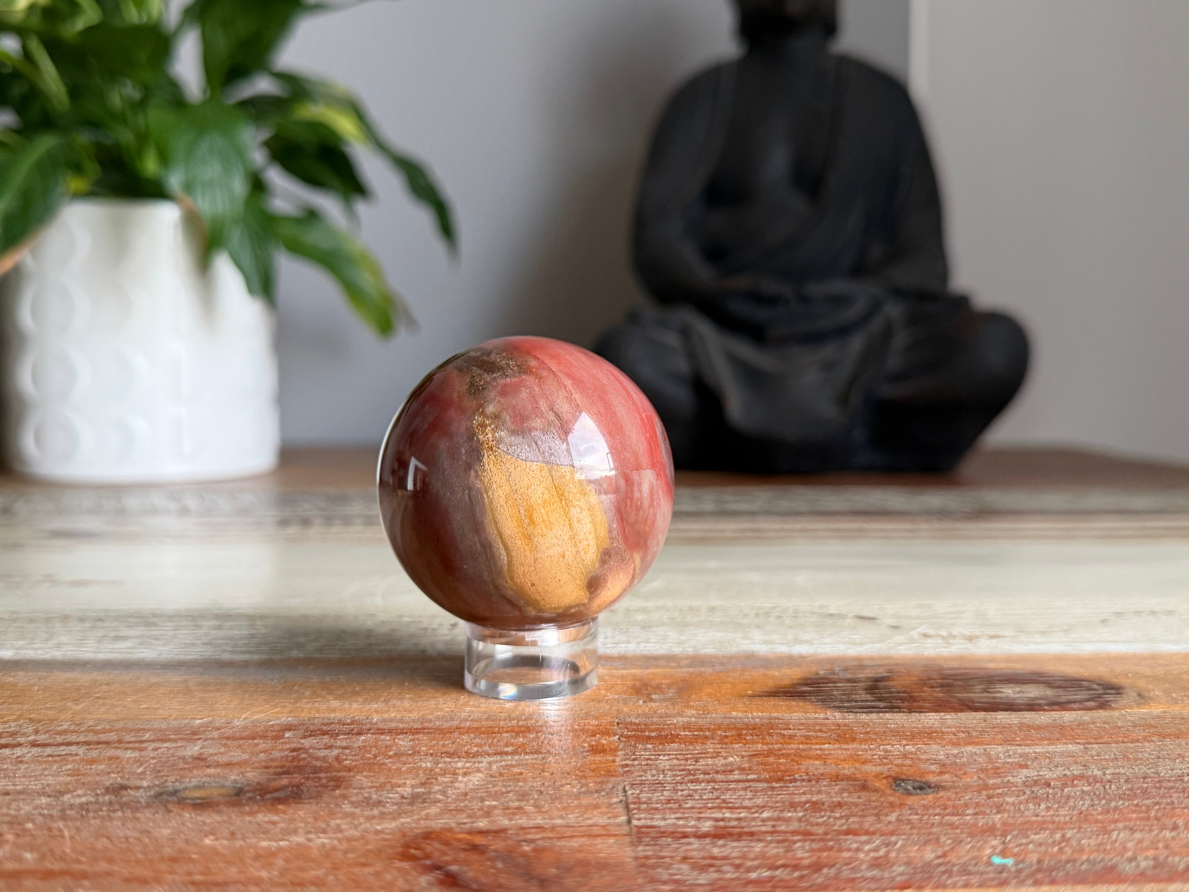 Petrified Wood Sphere