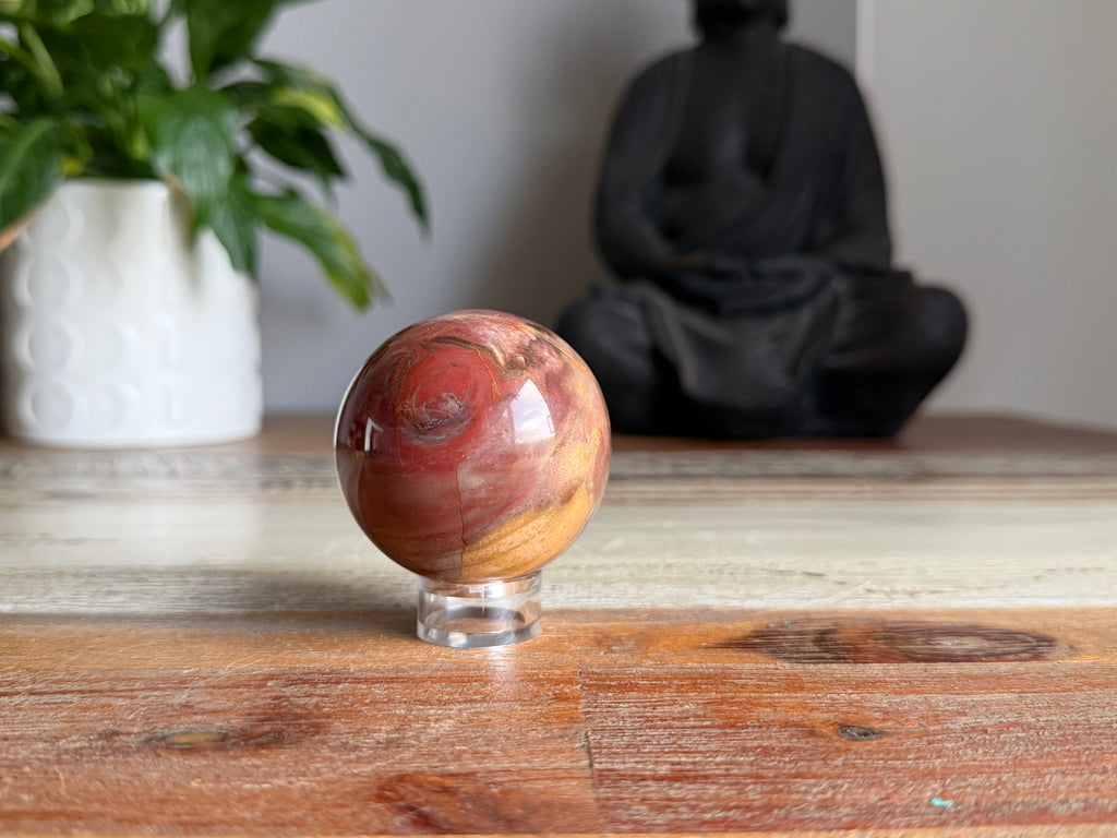 Petrified Wood Sphere