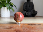 Petrified Wood Sphere
