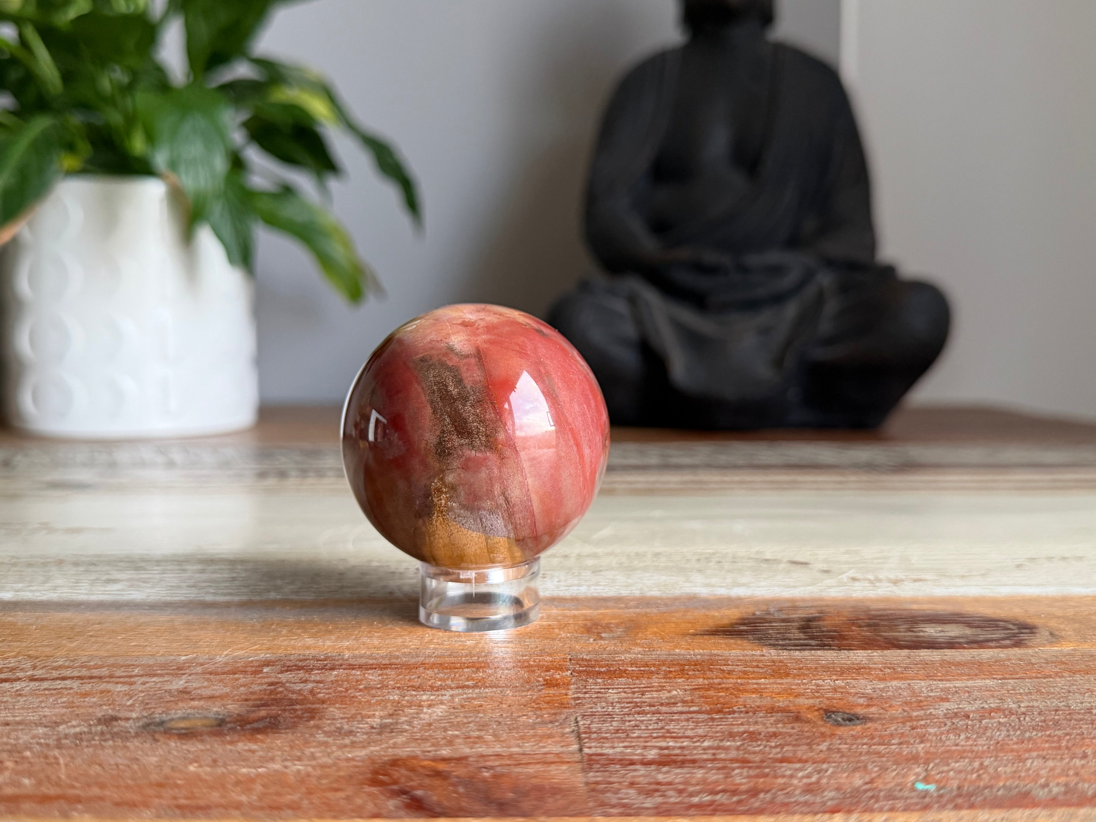 Petrified Wood Sphere
