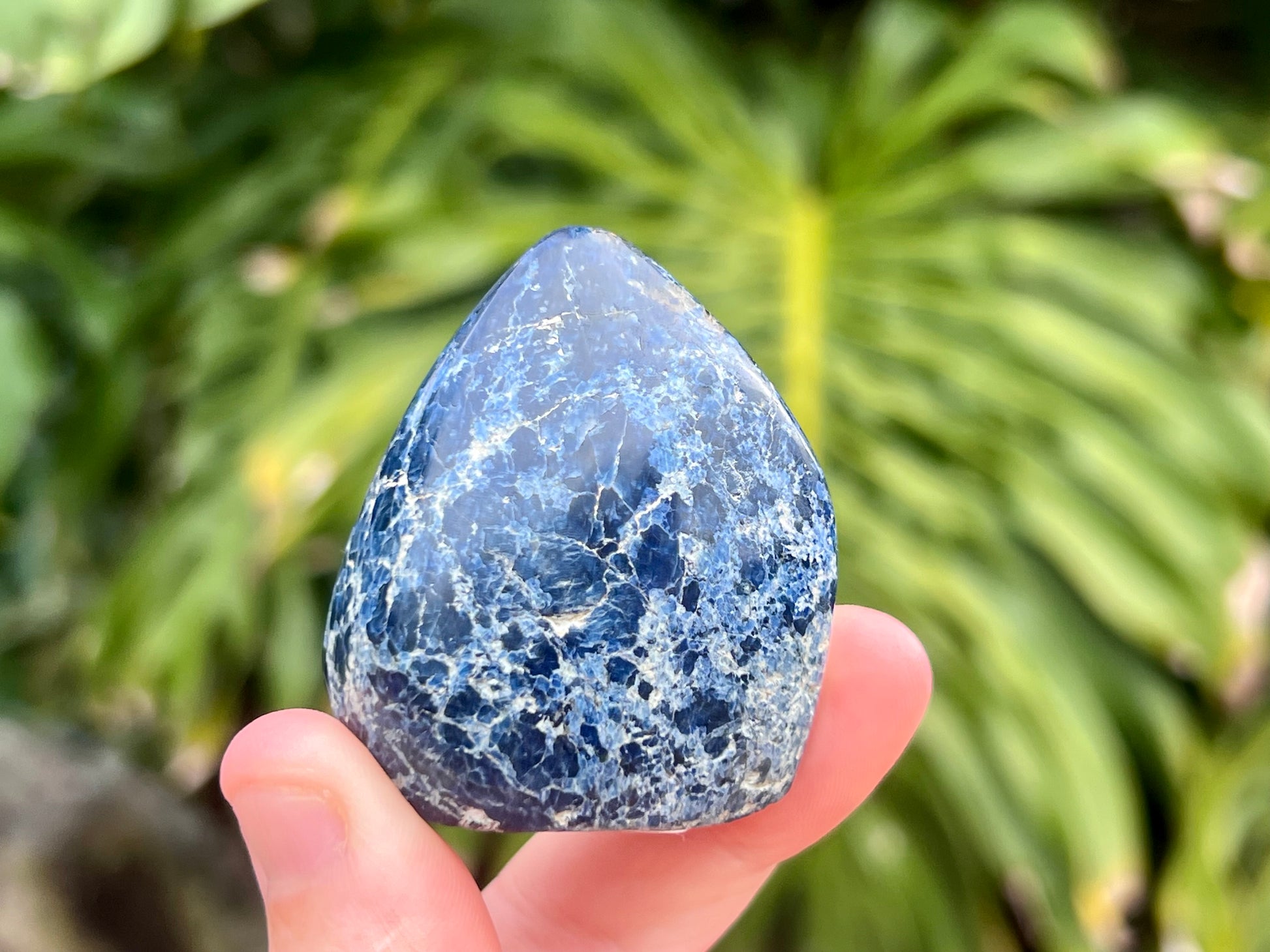 Deep blue Dumortierite freeform with fibrous texture and natural shimmer, known for enhancing mental clarity, focus, and patience. This photo I am holding the freeform to show the size 